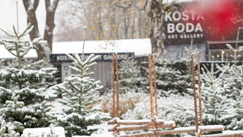 Julgranar på Kosta Julmarknad Snätäckta granar utanför Kosta Artgallery