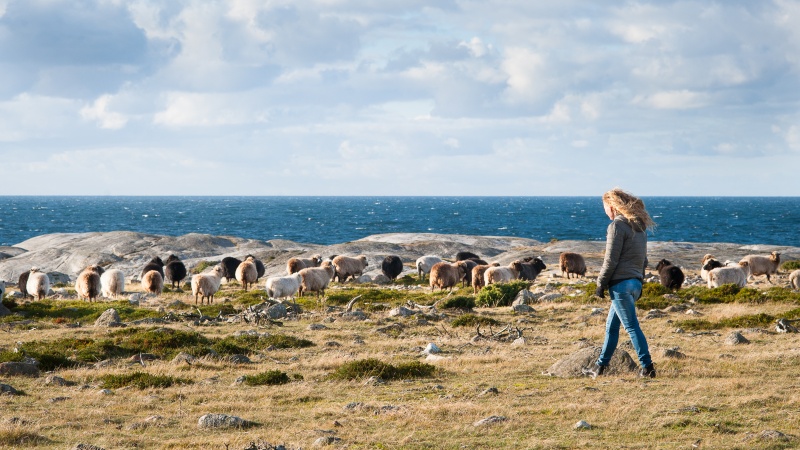En kvinna och far p klipporna langs havet